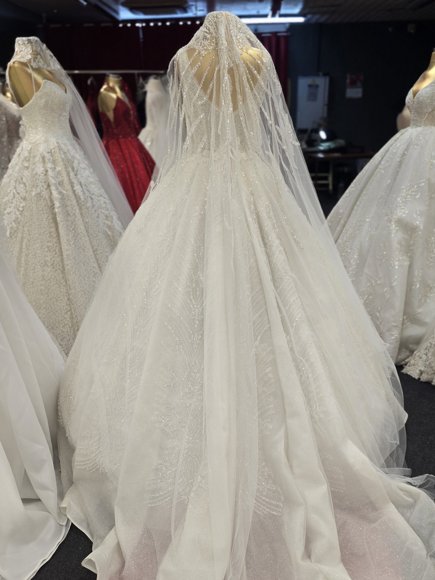 Robe de Mariée Princesse Élégante R4